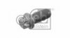 FEBI BILSTEIN 24195 Bolt, tensioner pulley